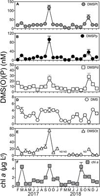 The Microbiological Drivers of Temporally Dynamic Dimethylsulfoniopropionate Cycling Processes in Australian Coastal Shelf Waters